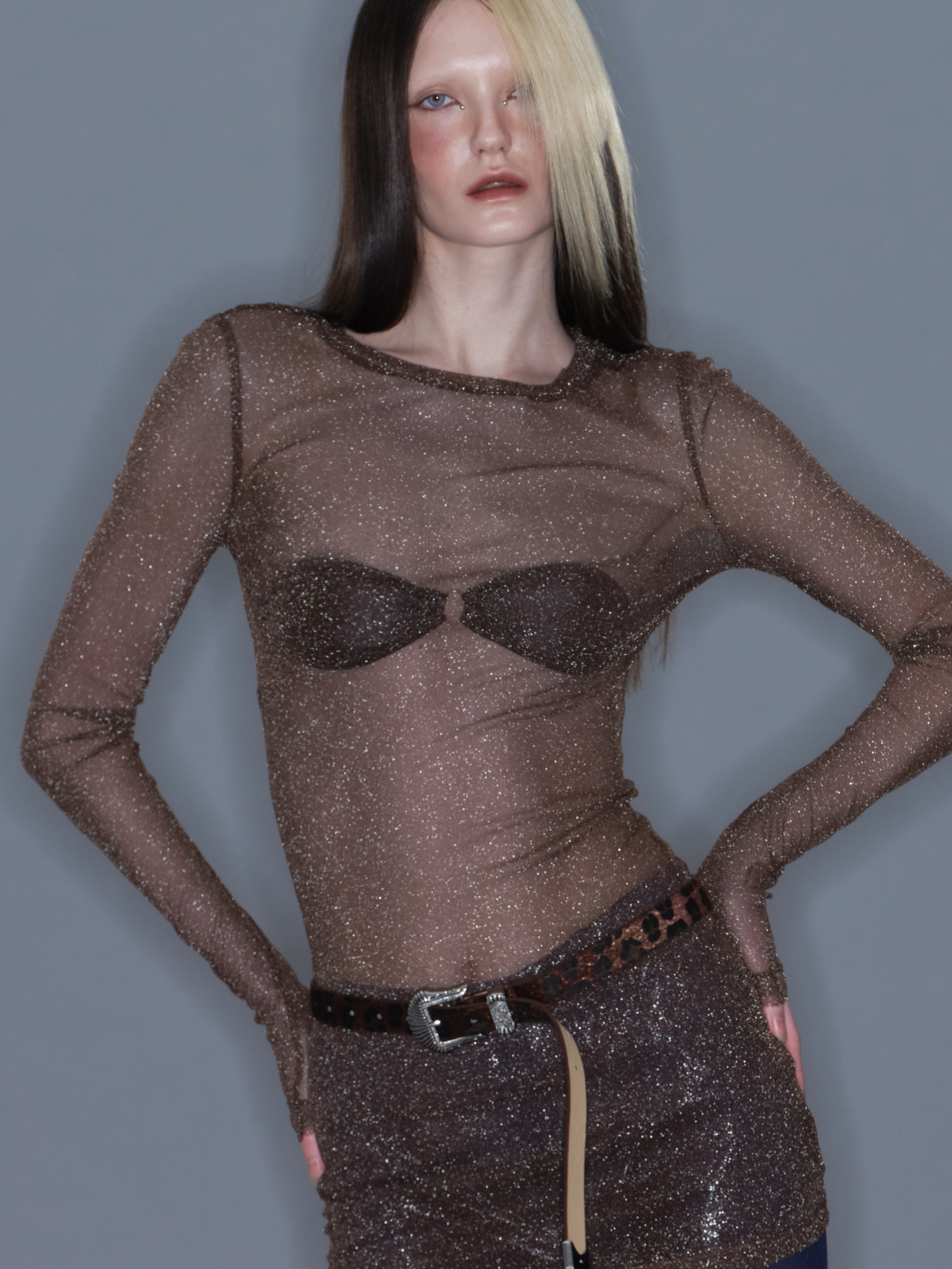 PROD 2025-2 Sheer Metallic Long Sleeve/ Coffee