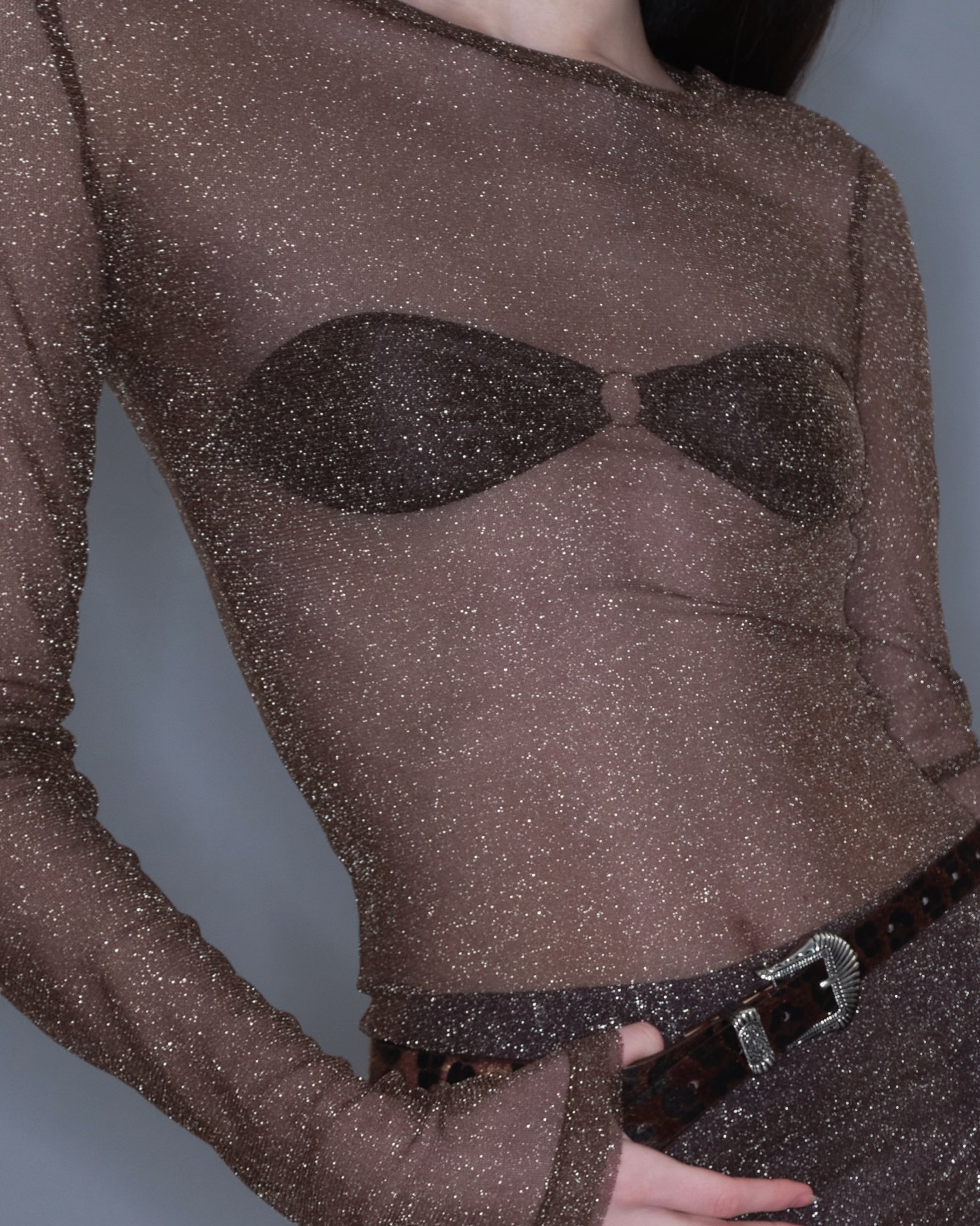 PROD 2025-2 Sheer Metallic Long Sleeve/ Coffee